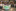 IMG 1331-6240x4158