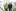 wdo2025---mobilitat---peter-galliker-und-thomas-mu...
