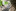 Galliker launches the “Zero Emissions Network” at its Aclens site Galliker launches the “Zero Emissions Network” at ...