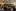 Galliker Innovation Day 2024: Progress and sustain...